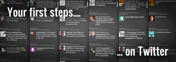 first_steps_on_twitter