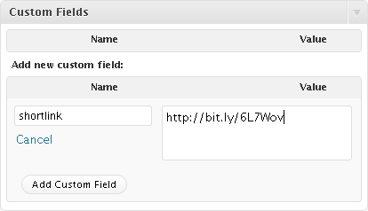 custom-field-wordpress