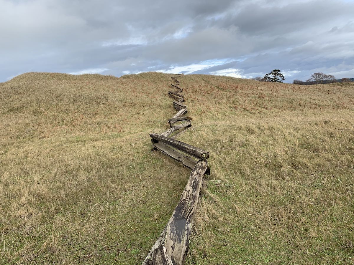 A fence on San Juan Island